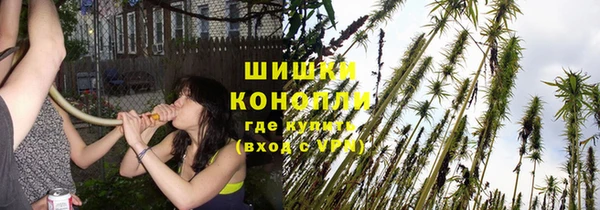 мет Белокуриха